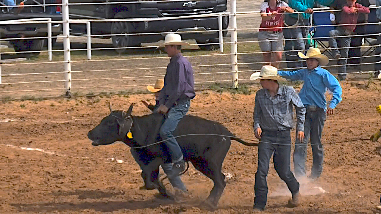 Steer Racing