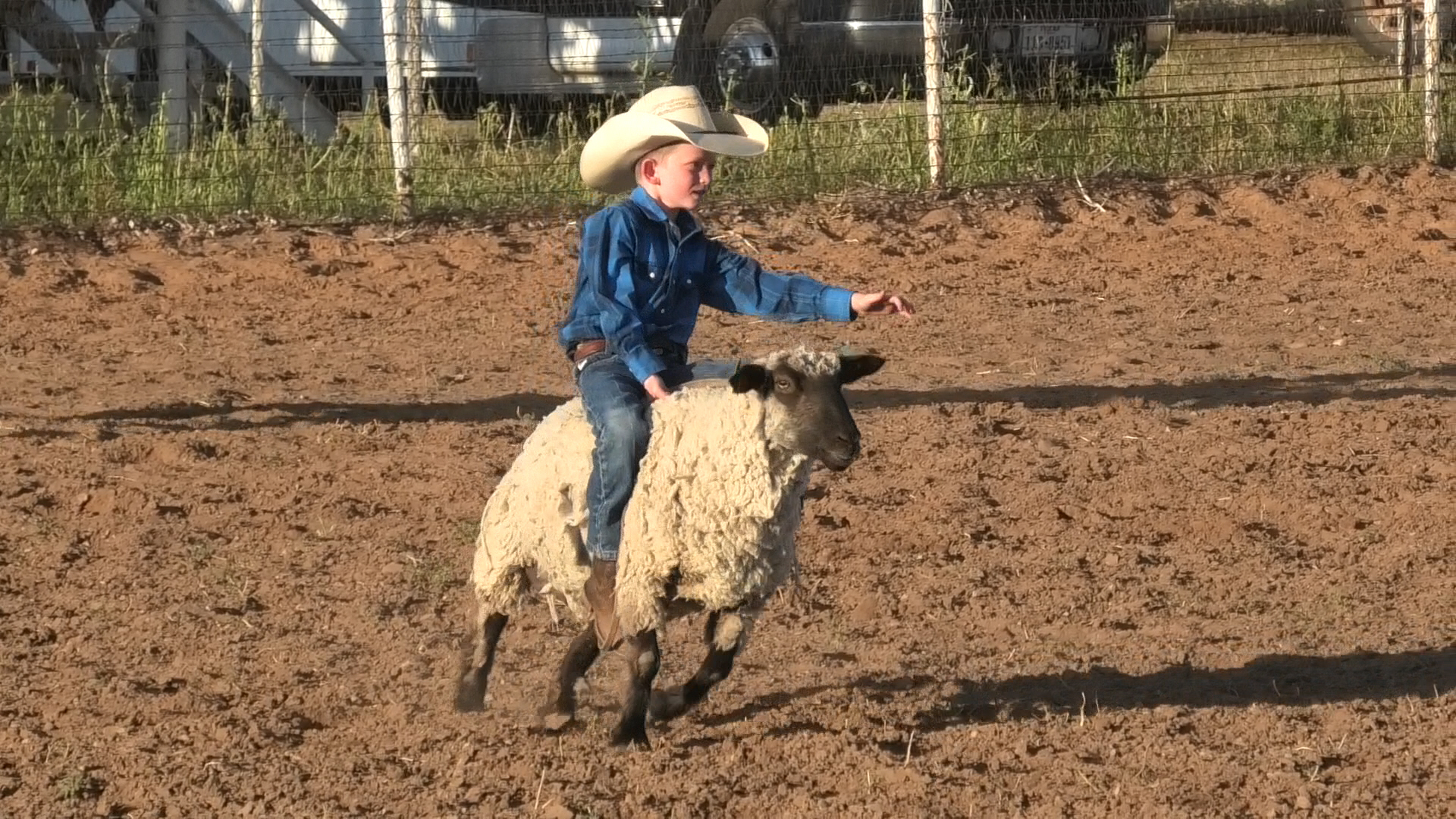 Mutton Bustin'