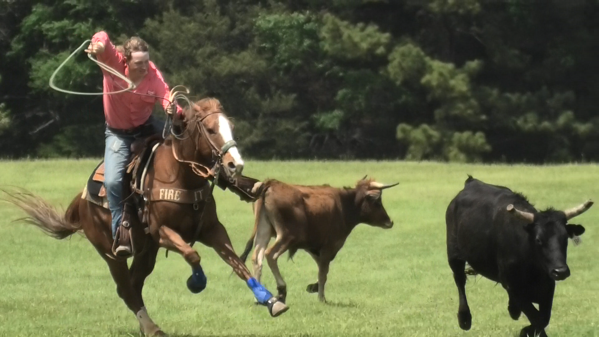 Team Roping